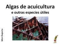 Algas de acuicultura e outras especies útiles